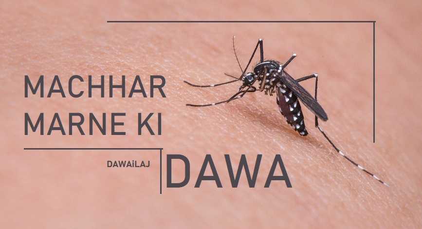 मच्छर मारने की दवा 5 मिनट में मच्छर का सफाया करे