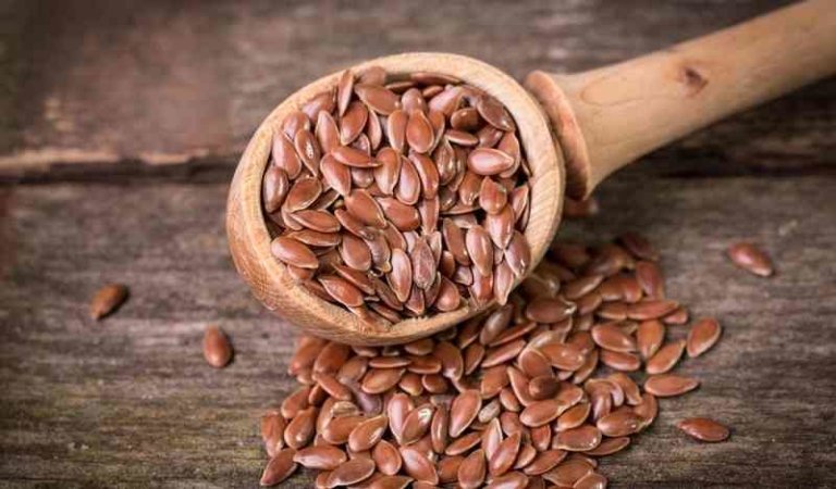 अलसी के फायदे नुकसान Alsi Ke Fayde Flax Seeds In Hindi