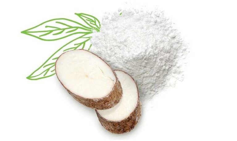 अरारोट के फायदे और नुकसान Ararot Arrowroot In Hindi