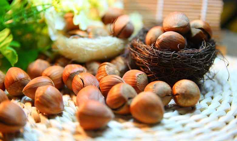 हेजलनट्स के फायदे और नुकसान Hazelnuts In Hindi
