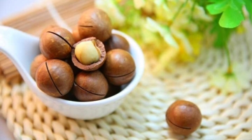 मैकाडामिया नट्स के फायदे Macadamia Nuts In Hindi
