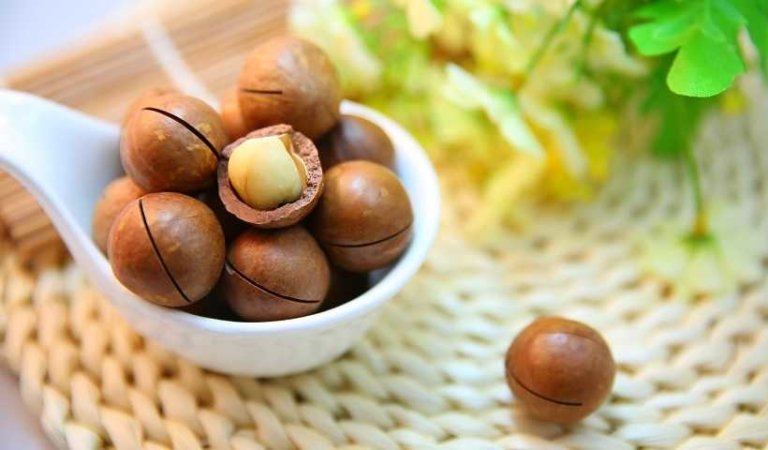 मैकाडामिया नट्स के फायदे Macadamia Nuts In Hindi