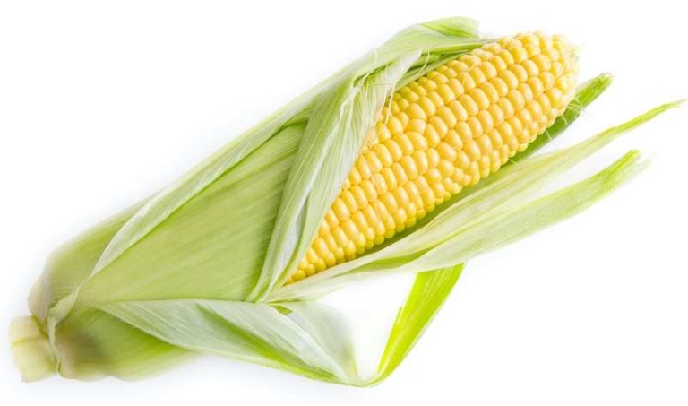 मक्का खाने के फायदे और नुकसान Corn In Hindi