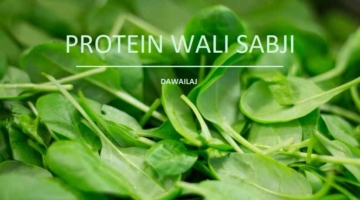 प्रोटीन वाली सब्जी 11 High Protein Wali Sabji