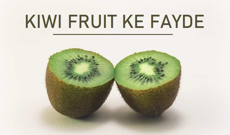 कीवी फल खाने के फायदे, नुकसान Kiwi Fruit Benefits In Hindi