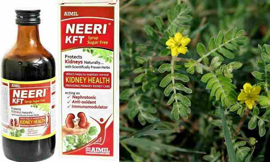Neeri Syrup Uses In Hindi उपयोग, फायदे, नुकसान, कीमत क्या है