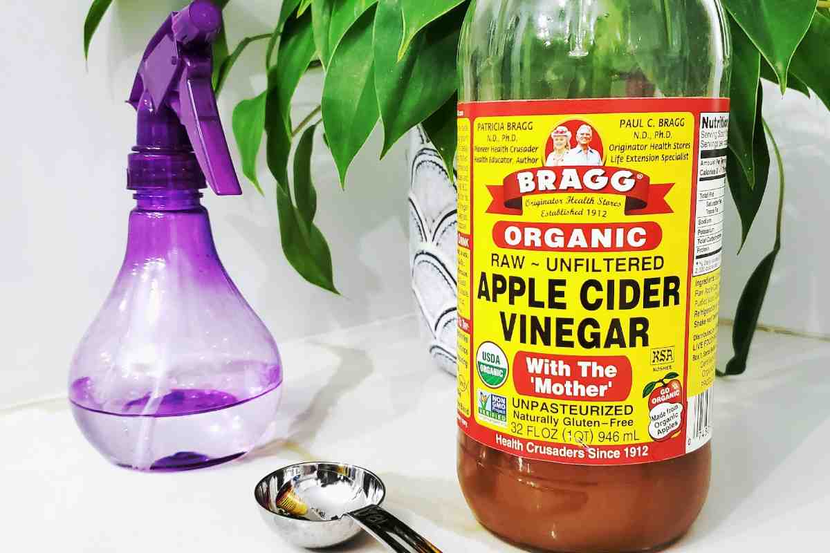 विनेगर या सिरका क्या होता है | Vinegar कैसे बनता है और इसके फायदे